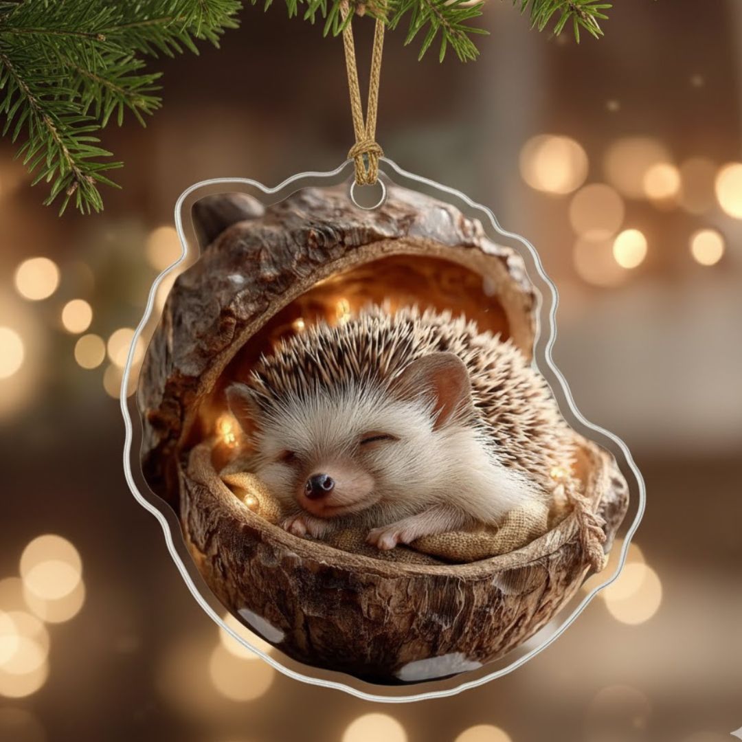 Acorn Dreams – Sleeping Forest Friends