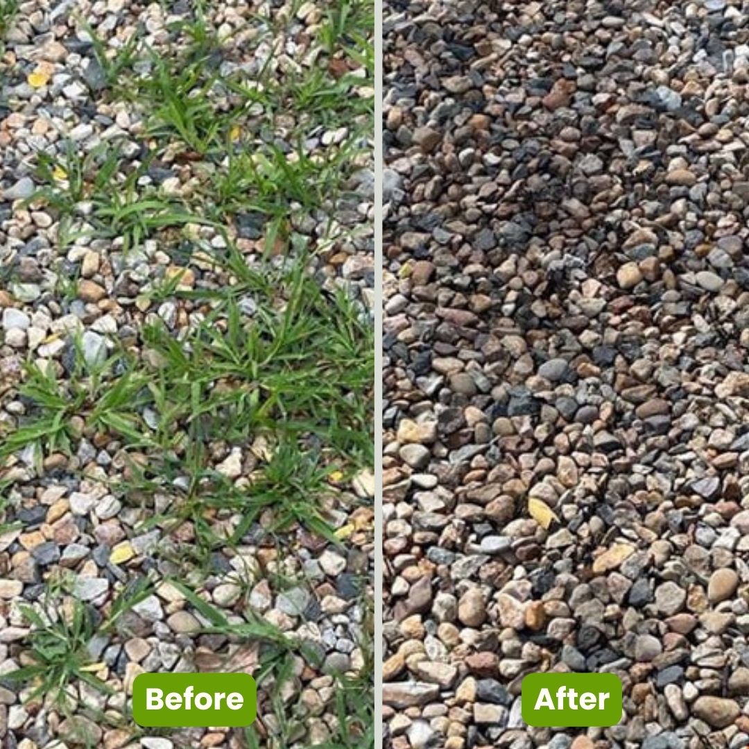 WeedMaster®: Powerful Weed Remover | Get Rid of Weeds in Seconds